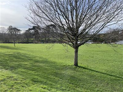 Picture 29